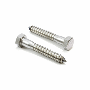SS Coach Screw (Stainless Steel)