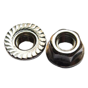 Flange Nuts (GI & SS)