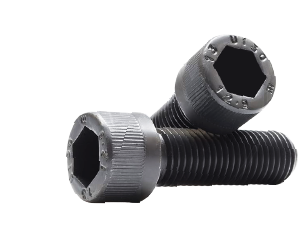 Hexagon Head Socket Screws